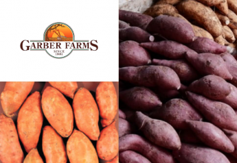 Garber Farms expands acreage of purple sweet potato variety