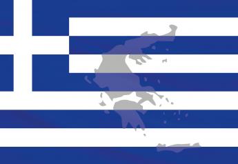 African Swine Fever Hits Greece
