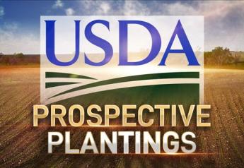 Prospective Plantings: Corn Up 4%, Soybeans Down 5%