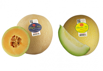 Dulcinea Farms will distribute Sugar Kiss (left) and Summer Kiss melons.