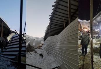 Heavy Snowfall Causes Barns to Collapse Across Country