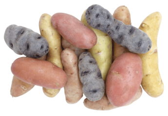 Potato proposal makes room for fingerlings