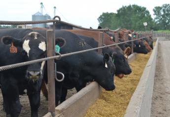 Feed Use Could Pressure USDA’s Grain Stocks Report