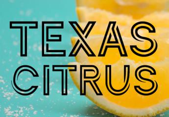 Texas citrus volume unchanged