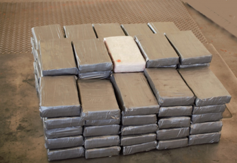Cocaine found in lime shipment at Texas port of entry