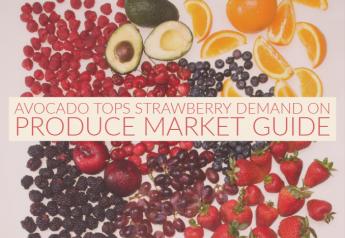 Avocado tops strawberry demand on Produce Market Guide