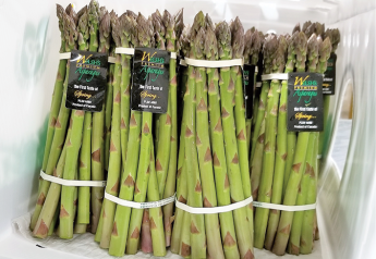Asparagus season off to ‘solid’ start