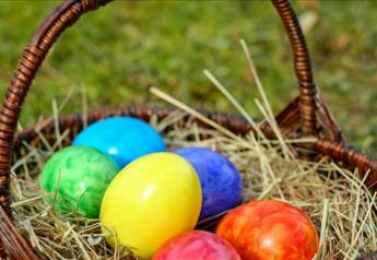 An Easter egg hunt will cost more this year as prices surge 37% over last year.