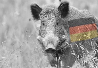 How Will German Markets Respond to Growing Cases of ASF in Wild Boars?