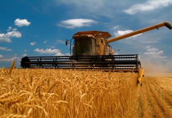 Crop Production: Wheat Production Down
