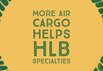 More air cargo helps HLB Specialties