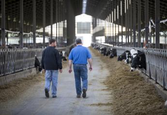 GOP Legislators Propose University of Wisconsin Dairy Hub