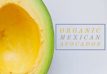 Organic Mexican avocados play an important role 