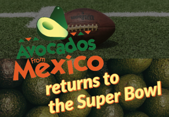 Avocados From Mexico plans Super Bowl comeback
