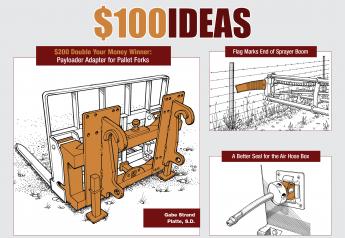 $100 Ideas - Late Spring 2019