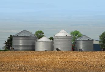 Grain Storage Red Flags