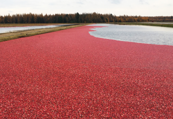 Naturipe’s organic cranberries ready for retail promos