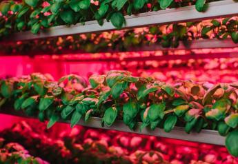 DelFrescoPure and CubicFarms team for new growing technology