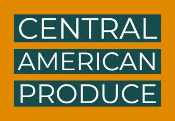 Central American adds Honduran okra 