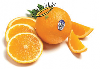Citrus in the spotlight — Health halo boosts sales amid COVID-19