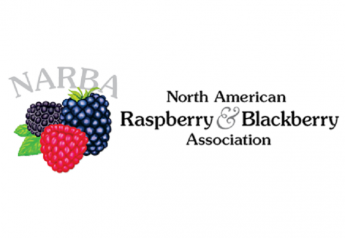 Survey seeks retail information on blackberries, raspberries