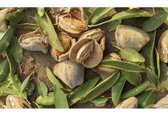 Good season ahead for California nut crops