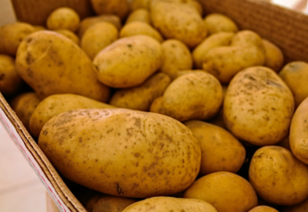 Potato and onion sales run hot during the holidays
