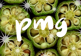 Honeydew hangs on to No. 1 on PMG