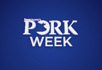 VIDEO: Pork Industry Remains Resilient Amid COVID-19 and Trade Woes  