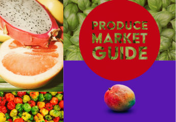 Spring and summer favorites stand out on Produce Market Guide