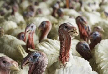 USDA Confirms Highly Pathogenic H7N3 Avian Influenza in Turkey Flock
