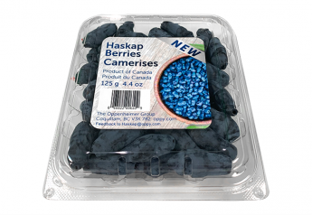 Haskap berries debut in Vancouver retailers