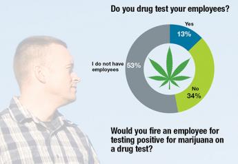 Do You Drug Test Employees?