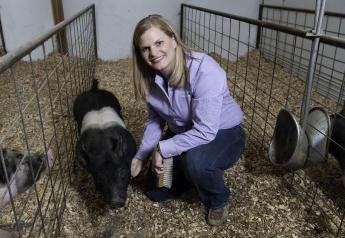 K-State Professor Gives Undergrads Sneak Peek at Research with Pigs