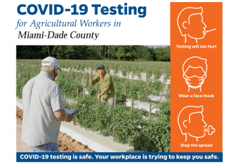 COVID-19 tests available for Florida farmworkers, families