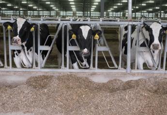 New research suggests producers can select cows for lower methane production. 