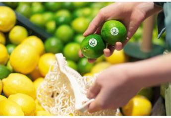 Robinson Fresh is delivering limes treated with Apeel Sciences' shelf-life extending technology to Wakefern Food Corp. stores.