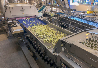 Key Technology fresh-cut apple sorting system cuts waste
