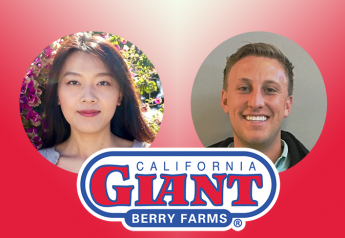 Hires, strategic planning focus on growth at Cal-Giant