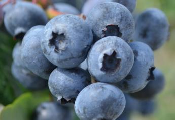 New Jersey ag official touts blueberry safety
