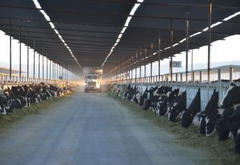 October Dairy Outlook: Cooling Feed Costs, Warming Milk Price