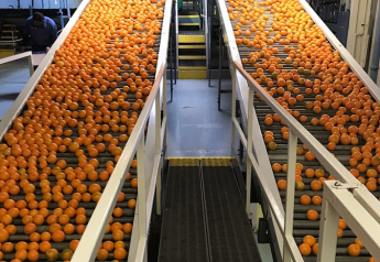 Vegalab adds to fresh citrus packing capacity