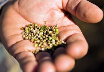 Growers will have access to hemp seed through GoodHemp at Arcadia Biosciences.