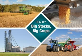 Reality Check: Big Stocks, Big Crops
