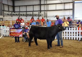 The steer raised by Rylie Timm and shown by Tate Schafer and Boone Myers was chosen as People’s Choice.