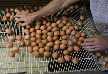 Per-capita consumption of eggs projected to reach highest in decades.