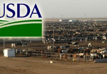 USDA feedyard