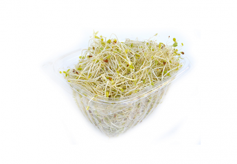FDA traces clover sprouts in E. coli cases to common seed source