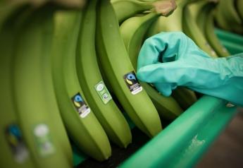 New research has found increasing recognition of the Fairtrade America label, according to the organization.