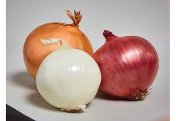 In pandemic, Washington-Oregon onion suppliers look to retail sales